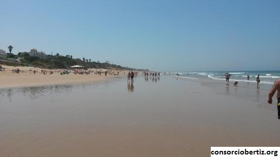 Beberapa Hal Menyenangkan Yang Bisa Dilakukan di  Pantai La Barrosa, Spanyol