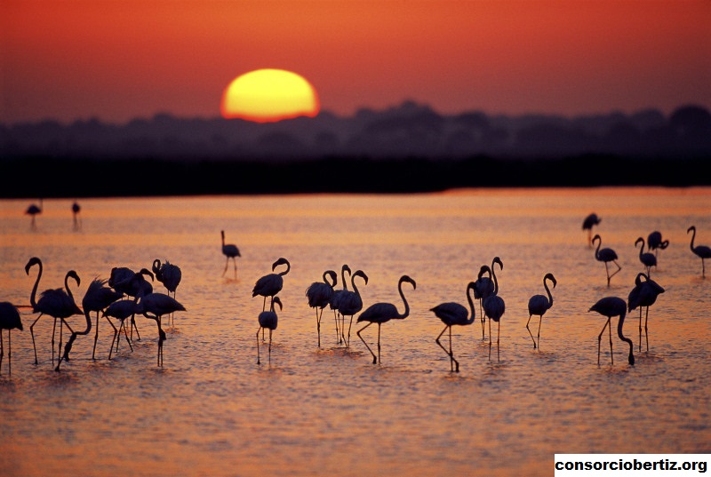Taman Nasional Doñana, Taman Wisata di Spanyol